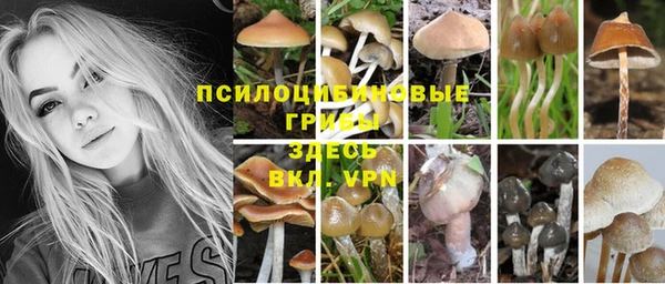 спайс Алексеевка